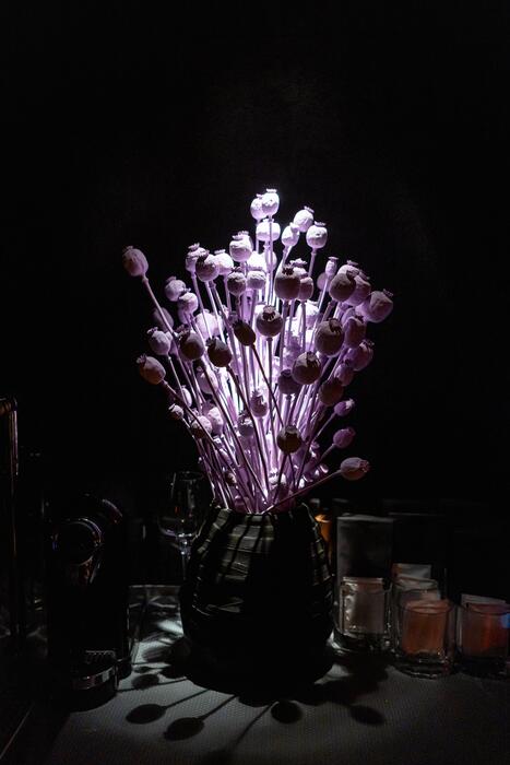 Best Flower Lights In Vase in 2026