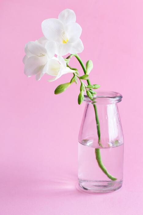 single flower vase ideas overview